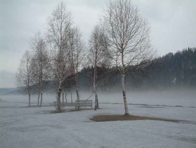 photo "Spring fog" tags: misc., 