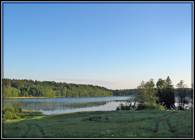 photo "Summer morning" tags: misc., 