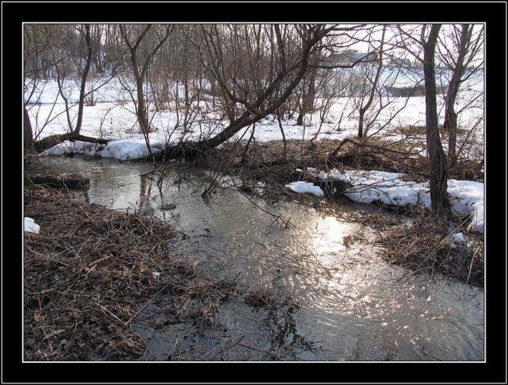 photo "Aprel" tags: landscape, spring, water