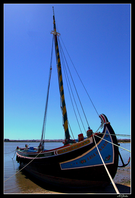 photo "Traditional boat" tags: landscape, reporting, water