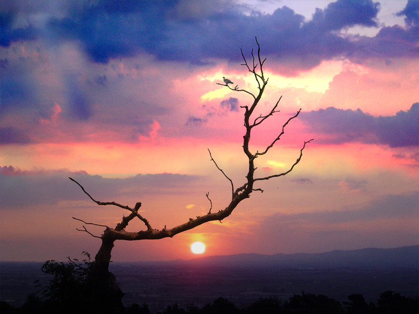 photo "serene sunset" tags: misc., 