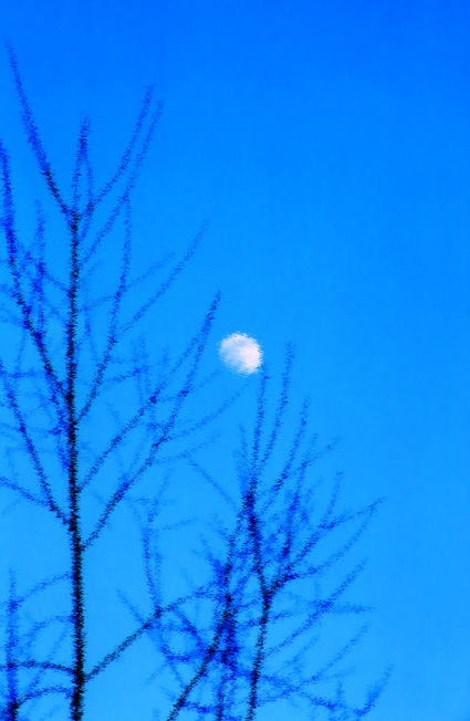 photo "moon" tags: nature, 