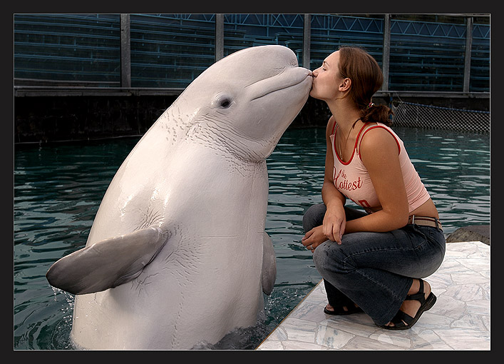 photo "Wet kiss-2" tags: genre, nature, wild animals