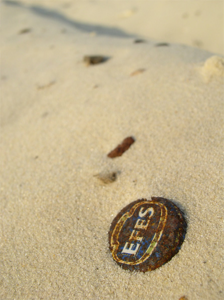 photo "Shipwreck flotsam" tags: macro and close-up, 