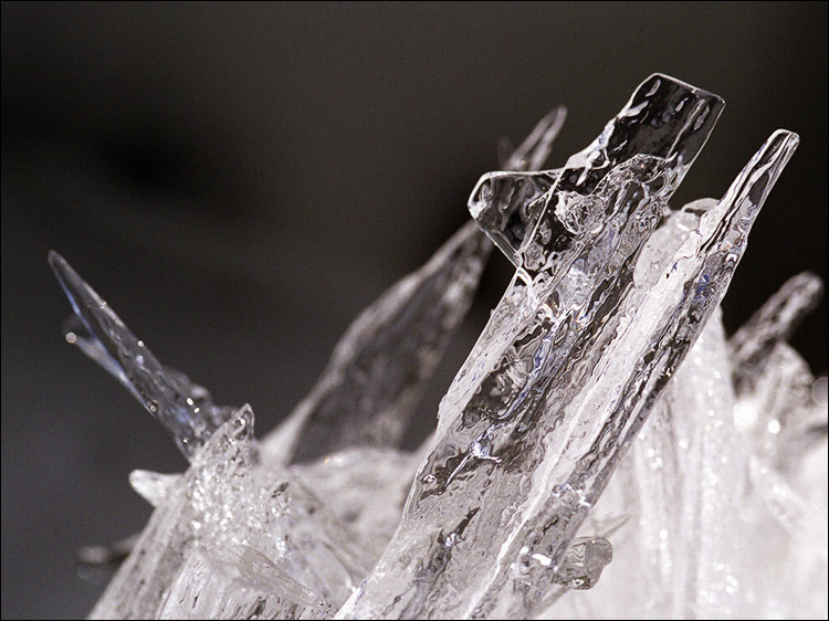 photo "Ice" tags: nature, macro and close-up, 