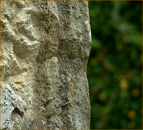 photo "...difference..." tags: macro and close-up, still life, 