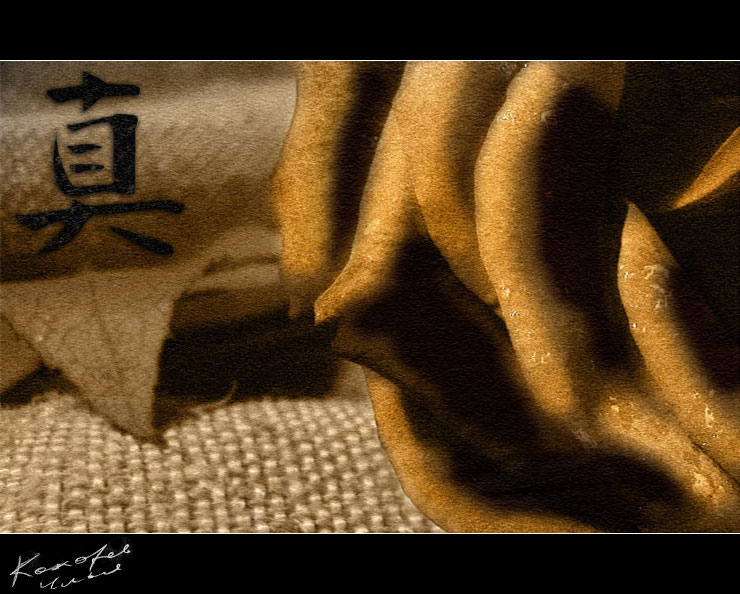 photo "Sincere lie" tags: macro and close-up, montage, 