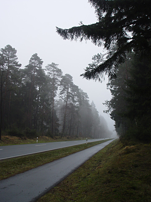 photo "***" tags: landscape, forest