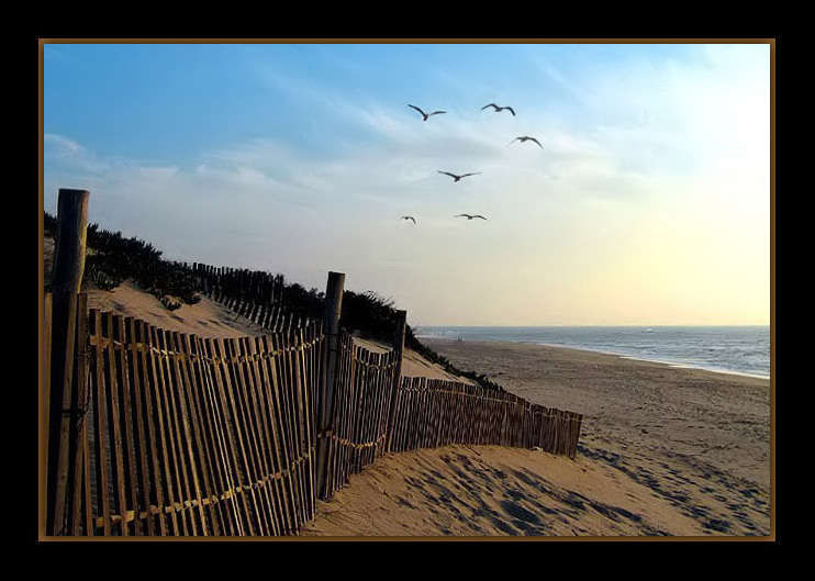 photo "waltz" tags: landscape, 