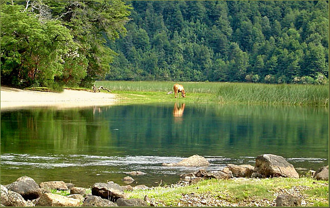 photo "peace in green..." tags: travel, landscape, South America, water