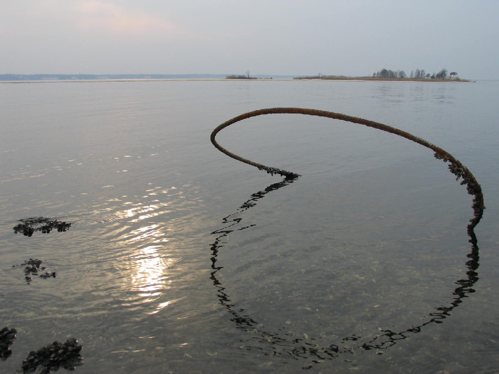 photo "let`s swim" tags: landscape, water