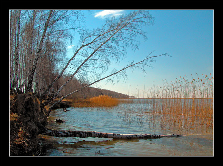 photo "APRIL" tags: landscape, spring, water