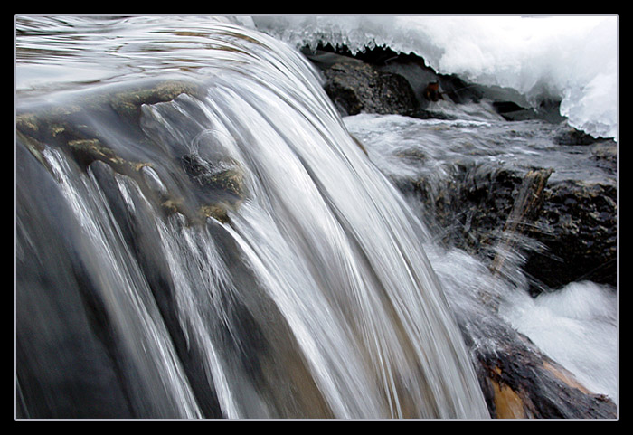 photo "Cold and wet, mysterious, gentle, alive..." tags: landscape, water, winter