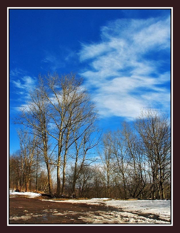 photo "Spring etude #2" tags: landscape, nature, spring