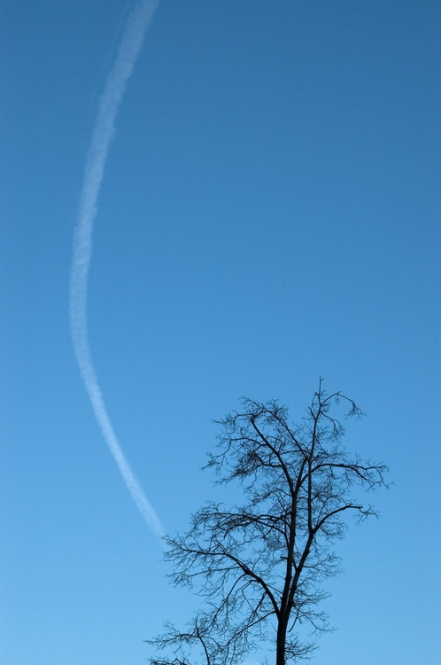 photo "Blue, black and white." tags: nature, 
