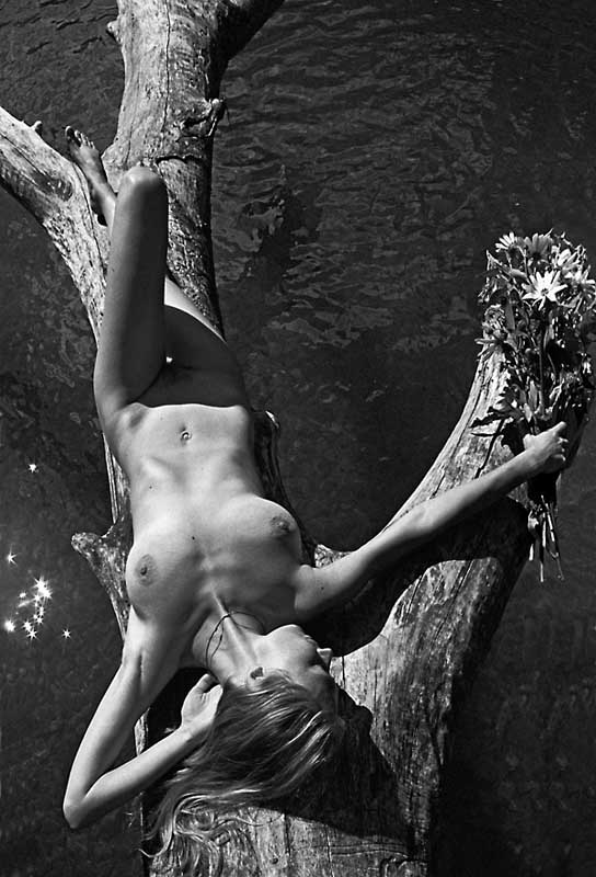 photo "nude on a dead three" tags: black&white, nude, 