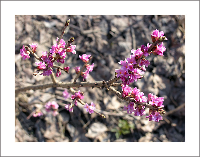 фото "***" метки: разное, 