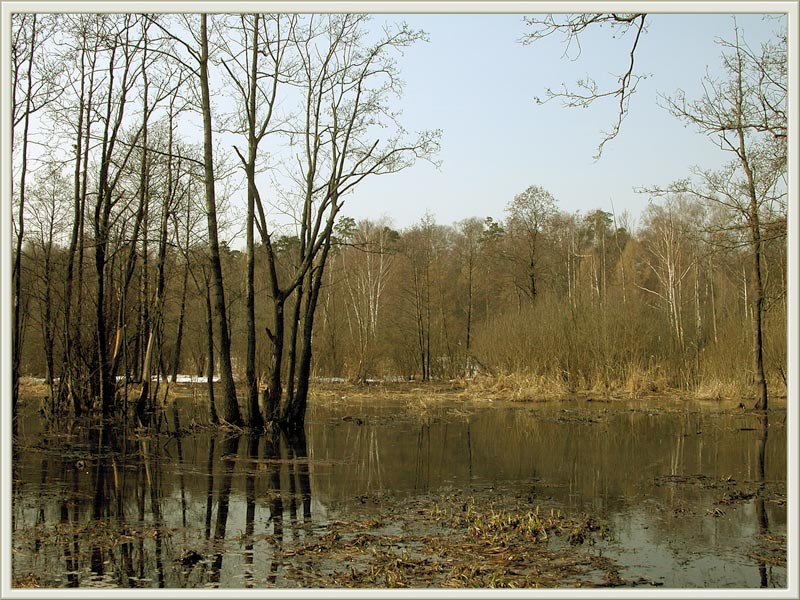 фото "Весеннее половодье" метки: пейзаж, весна, вода