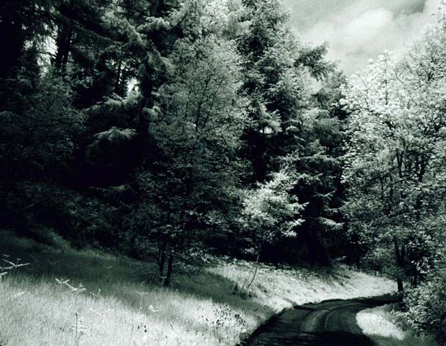 photo "Long,Long Road Awinding." tags: landscape, summer