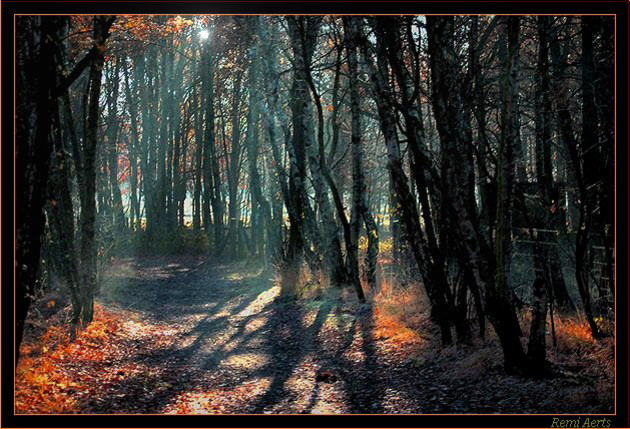 фото "spring morning" метки: пейзаж, весна