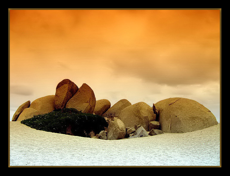 photo "happy solitude" tags: landscape, 