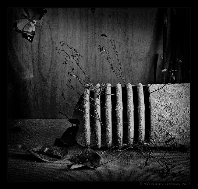 photo "Monochrome Morning 2" tags: still life, 
