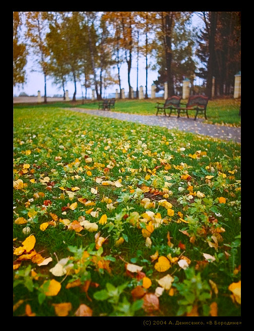 photo "In Borodino" tags: nature, landscape, autumn, flowers