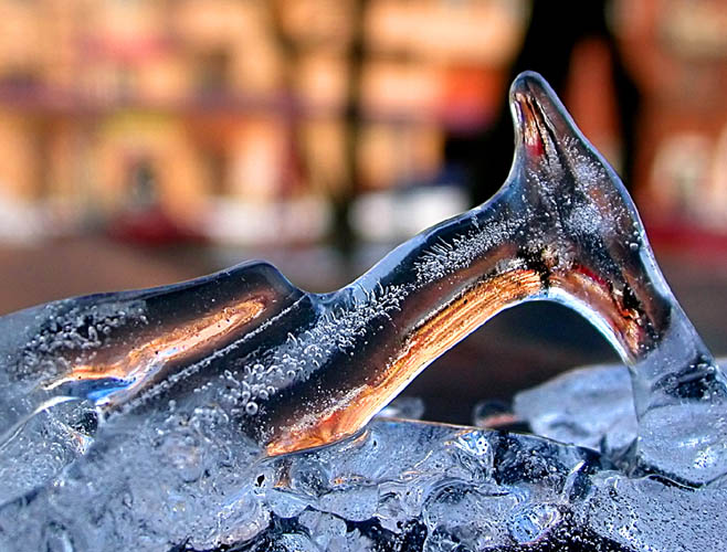 photo "Icy deer" tags: macro and close-up, abstract, 