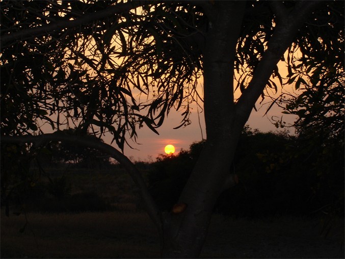 фото "sunset" метки: пейзаж, натюрморт, закат
