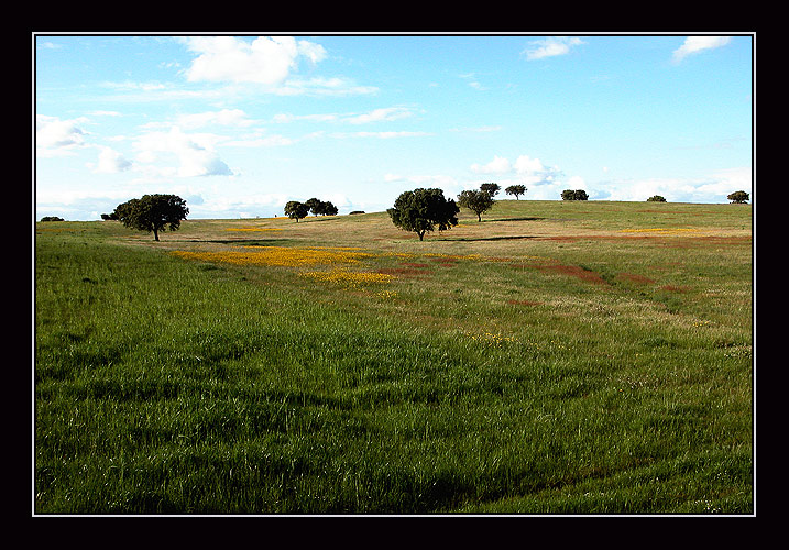 фото "tapestry" метки: пейзаж, весна