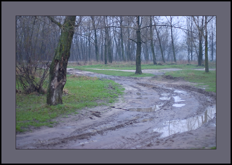 фото ":: 0016 ::" метки: пейзаж, путешествия, Европа, лес