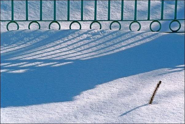 photo "Radonezh and outskirts #11" tags: nature, landscape, flowers, winter