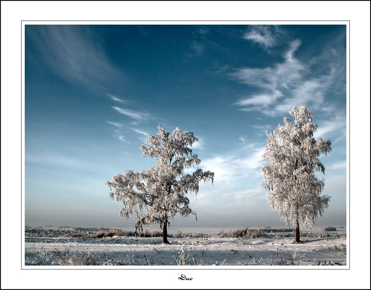 photo "Duo" tags: landscape, clouds, winter