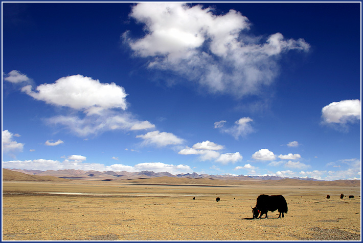 photo "High-mountainous plains of Tibet" tags: travel, landscape, Asia, mountains