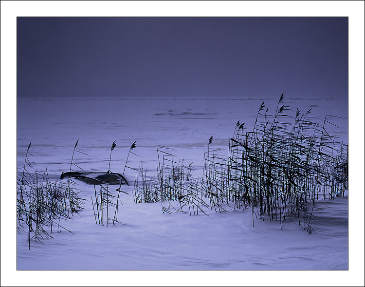 photo "Bad weather" tags: landscape, water, winter