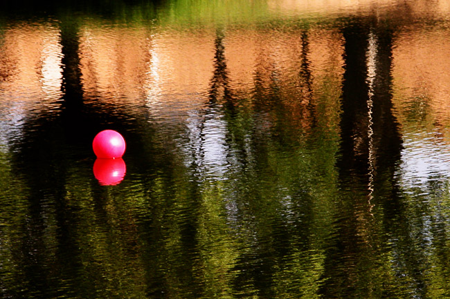 photo "floating" tags: abstract, 