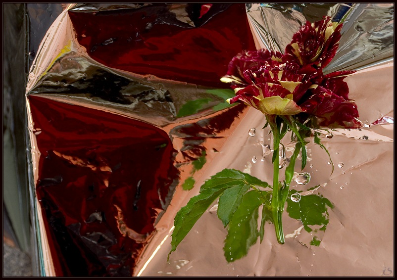 photo "reflections" tags: still life, abstract, 
