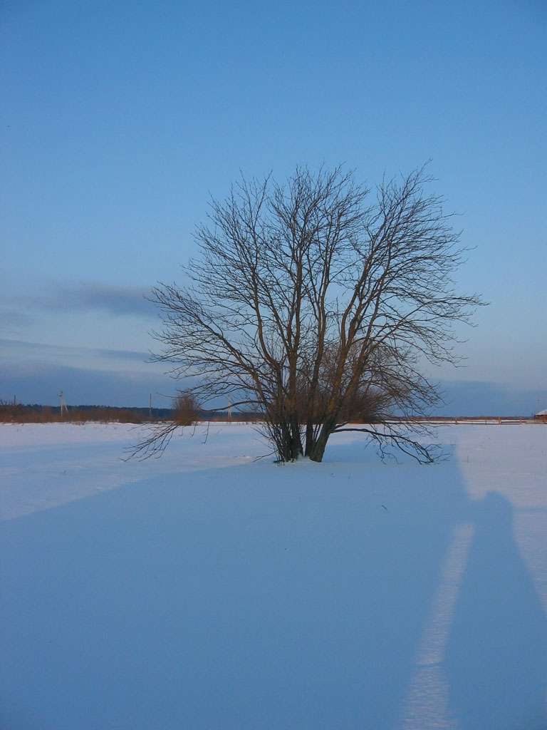 photo "My first photo" tags: nature, landscape, winter