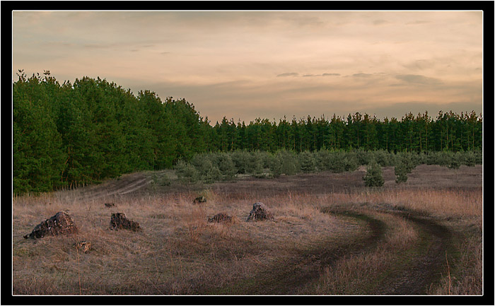 photo "***" tags: landscape, forest, spring