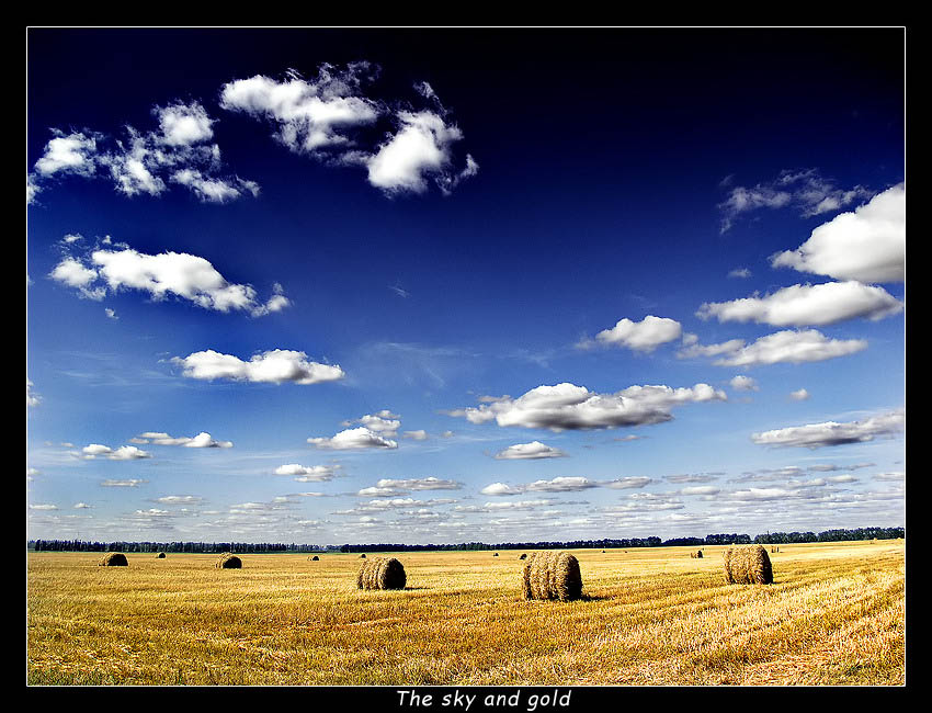 photo "The sky and gold" tags: landscape, clouds