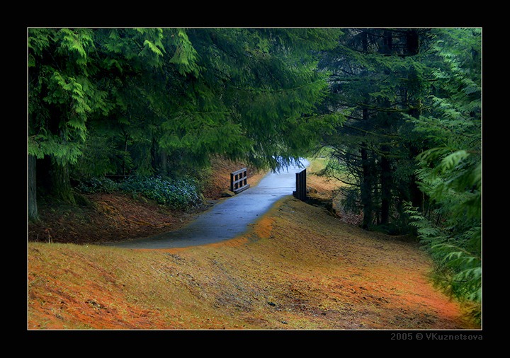 фото "Let`s walk here" метки: пейзаж, весна, лес