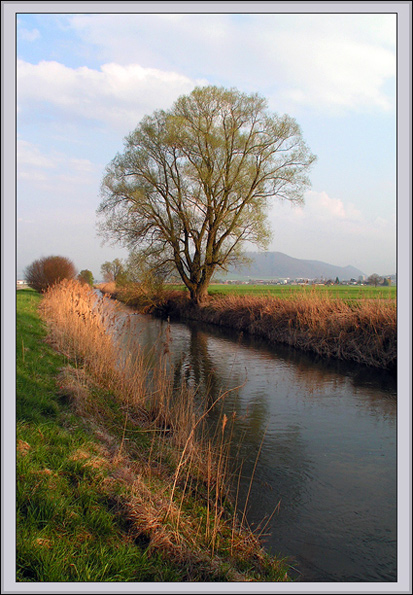 photo "In valley Delpmoos." tags: landscape, spring