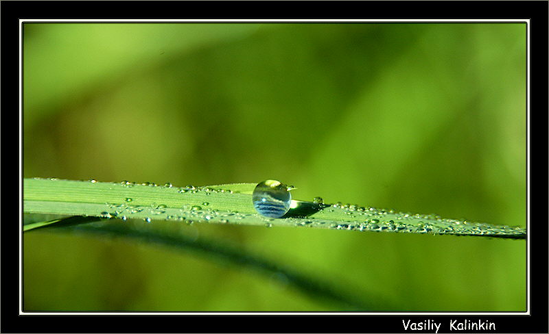 photo "Dew-point" tags: nature, landscape, water