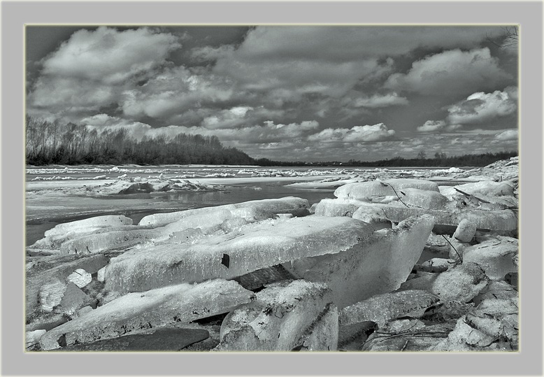 photo "Ice drift" tags: black&white, 