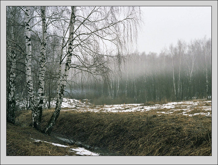 фото "Туман" метки: пейзаж, весна, лес