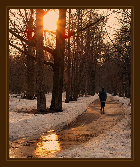 photo "Syvorovskiy park. Evening" tags: landscape, spring, sunset