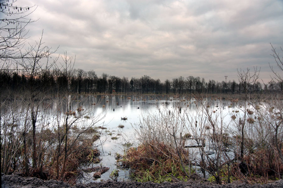 photo "wet" tags: landscape, spring