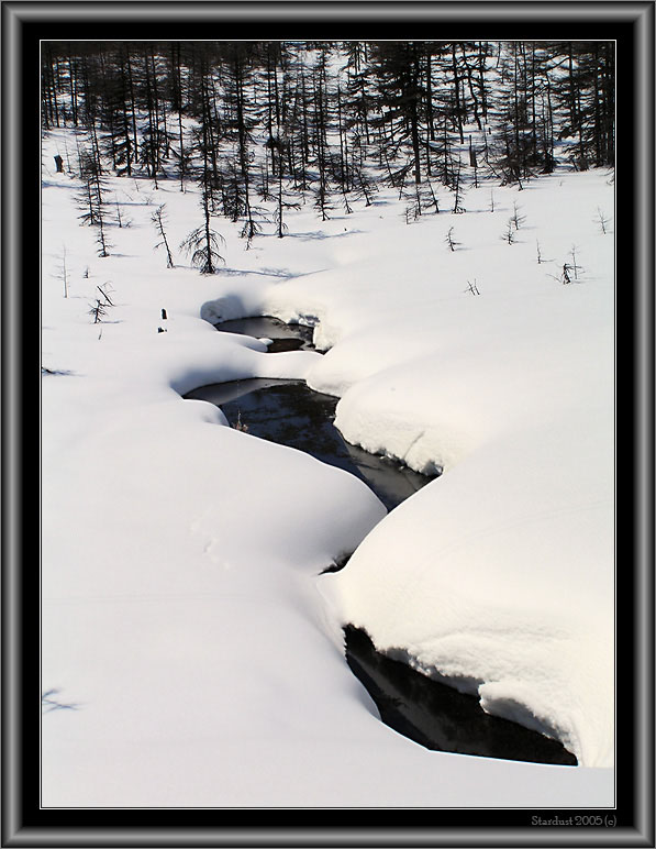 photo "The First Evidence of Spring" tags: landscape, forest, winter