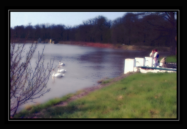 photo "romantic spring" tags: landscape, spring