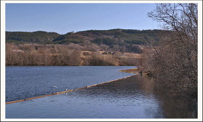 photo "***" tags: landscape, spring